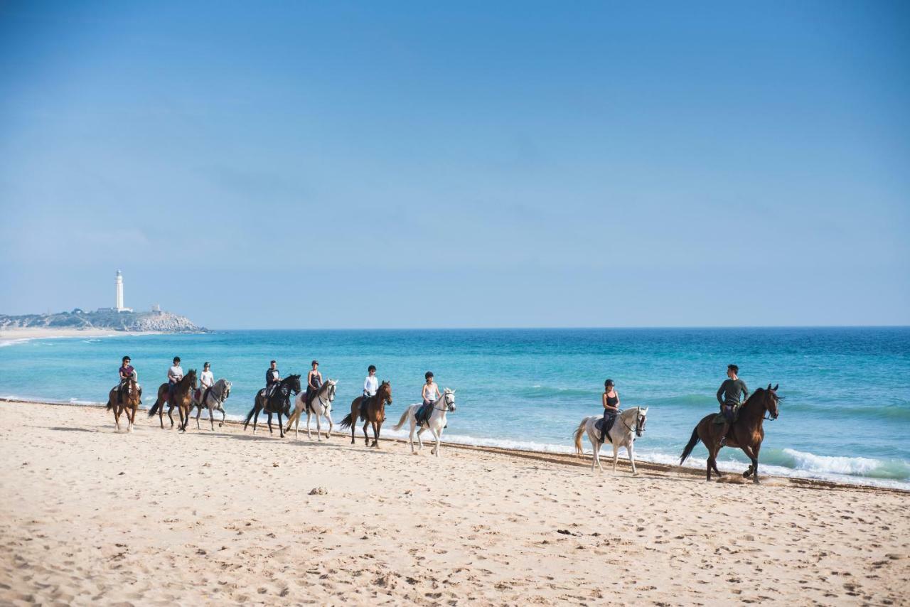 Casara Seis O Casara Siete - Tu Casa A 100M De La Playa De Zahora Guest House Ngoại thất bức ảnh
